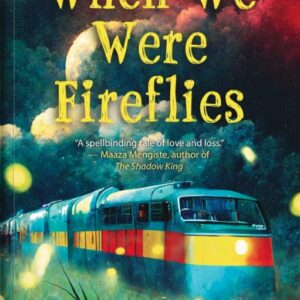 When We Were Fireflies by Abubakar Adam Ibrahim